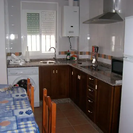 Olivo 14